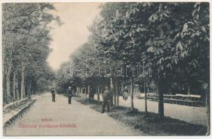 1909 Kovászna-fürdő, Baile Covasna; Sétatér. Moskovitz Márton kiadása / promenade (fl)
