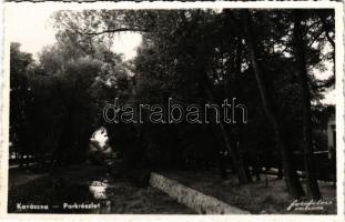 Kovászna, Covasna; Parkrészlet / park