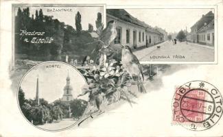 Cítoliby with Lounská street (EB)