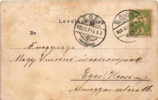 1903 Baja, Tóth Kálmán szobor, ragasztott fotó, dombornyomott képeslap. Ifj. Wagner Antal kiadása (f...