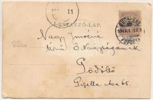 1900 Regalitas szivar reklámlap, egyedi, kézzel készült / cigar advertisement card, handmade (EB)