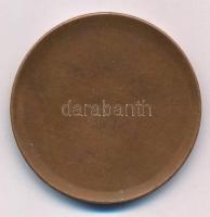1980 k. "Tudományos Ismeretterjesztő Társulat Csongrád Megyei Szervezete" egyoldalas bronz...
