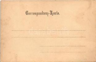 Flood in the city, humour. litho (fl)