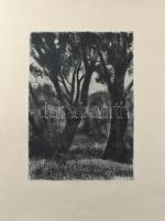 Iván Szilárd (1912-1988): Táj. Rézkarc, papír, jelzett, 34x24,5 cm