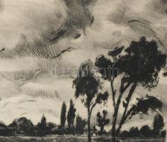 Fehér Ilona (1913-1983): Út a faluba. Rézkarc, papír, jelzett. Kartonra kasírozva. 29x39,5 cm