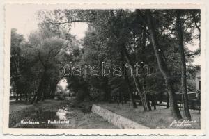 Kovászna, Covasna; Parkrészlet / park