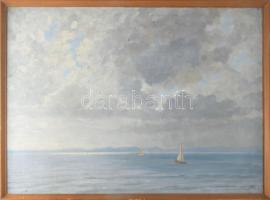Muzsinszki Nagy Endre (1886-1975): Vitorlások a Balatonon Siófoknál. Olaj, vászon. Jelezve jobbra lent. Fakeretben. 60x80 cm