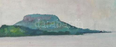 Vargha jelzéssel (Vargha László?): Balaton, háttérben a Badacsony. Olaj, vászon. Fakeretben. 50x69 c...