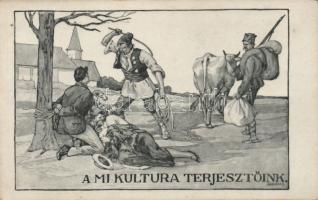 Anti-Romanian propaganda s: Sándor B.