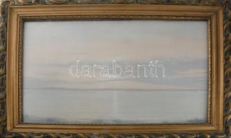 Olvashatatlan jelzéssel (Daróczy Károly v. Daróczi Károly?): Balaton. Pasztell, papír, jelzett. Üvegezett, dekoratív, kissé sérült fakeretben, 36,5×50 cm