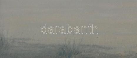 Olvashatatlan jelzéssel (Daróczy Károly v. Daróczi Károly?): Balaton. Pasztell, papír, jelzett. Üveg...