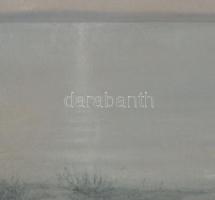 Olvashatatlan jelzéssel (Daróczy Károly v. Daróczi Károly?): Balaton. Pasztell, papír, jelzett. Üveg...