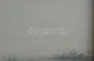 Olvashatatlan jelzéssel (Daróczy Károly v. Daróczi Károly?): Balaton. Pasztell, papír, jelzett. Üveg...