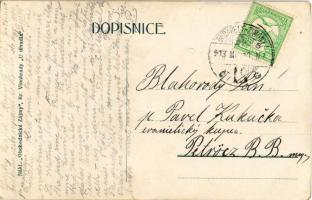 1913 "Rac druhu mezi nás speti..."/ beer art postcard. artist signed (EK)