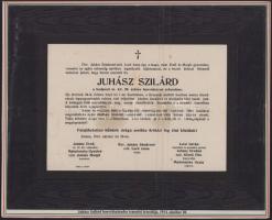 1914-16 A császári és királyi budapesti 29. honvéd gyalogezredet bemutató gyűjtemény 13 db eredeti f...