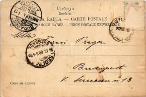 1900 Les fetes du mariage de Sa Majeste de Roi de Serbie 23/7-5/8. 1900. / The wedding celebrations ...