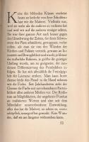 Meier-Graefe, Julius: Wohin treiben wir? Zwei Reden über Kultur und Kunst.
Berlin, 1913. S. Fischer...
