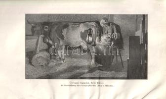 Abraham, Karl: 
Giovanni Segantini. Ein psychoanalytischer Versuch. Mit zwei Beilagen.
Leipzig-Wie...