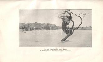 Abraham, Karl: 
Giovanni Segantini. Ein psychoanalytischer Versuch. Mit zwei Beilagen.
Leipzig-Wie...