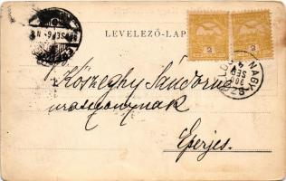 1900 Nagyszőlős, Nagyszőllős, Vynohradiv (Vinohragyiv), Sevljus, Sevlus; Fő tér / main square (vágot...