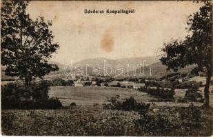 1917 Kóspallag, látkép. Weipert Pál kiadása (Rb)