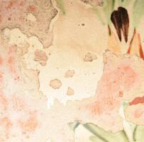 Köcsög. Eger környéke, cca 19. sz. vége, sérüléssel, m: 24,5