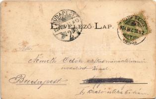 1904 Nagybánya, Baia Mare; Vasút felé vezető út, baromvásár. Kovács Gyula kiadása / road to the rail...