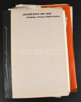 ca 1860-1914 Lechner Gyula (1841-1914) festőművész kézirat és okmány hagyatéka. Néhány kézirat, sok munkásságával kapcsolatos újságkivágás, stb. Kb 60 lap + néhány hasonló irat Lechner Lóránddal kapcsolatban