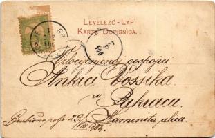 1901 Grobosinc, Grubisnopolje, Grubisno Polje; Srbska crkva, Glavna ulica. Weiss &amp; Dreykurs ...