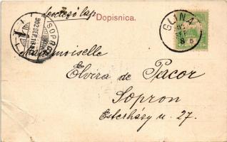 1902 Glina, V. Jaksica / látkép / view (szakadás / tear)