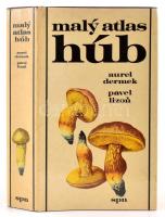 [Gomba kézikönyv] Aurel Dermek - Pavel Lizon: Maly atlas húb. Pozsony, 1980, Slovenské pedagogické nakladatel'stvo. Kiadói egészvászon kötésben, kiadói papír védőborításban, szlovák nyelven.