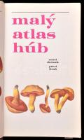 [Gomba kézikönyv] Aurel Dermek - Pavel Lizon: Maly atlas húb. Pozsony, 1980, Slovenské pedagogické n...