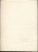 cca 1930 Schmoll Pasta reklámfotó, pecséttel jelzett, Schäffer műterméből, 24×18 cm