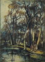 Barczi Pál (1933-2003): Patakpart Színes rézkarc, papír, jelzett, 30x20 cm