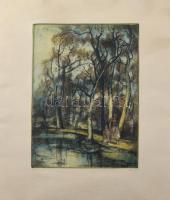 Barczi Pál (1933-2003): Patakpart Színes rézkarc, papír, jelzett, 30x20 cm