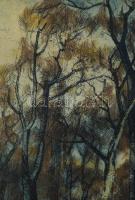 Barczi Pál (1933-2003): Patakpart Színes rézkarc, papír, jelzett, 30x20 cm