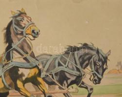 Benyovszky István (1898-1969): Itató csikós.. Színezett rézkarc, papír, jelzett, 38x54 cm Kis felüle...