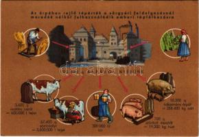 Az árpában rejlő tápérték a sörgyári feldolgozásnál maradék nélkül felhasználódik emberi táplálkozásra, Dreher Haggenmacher Rt. és Frick József kiadása és reklámja / Barley production, Hungarian brewery's advertisement; Klösz Coloroffset (EK)