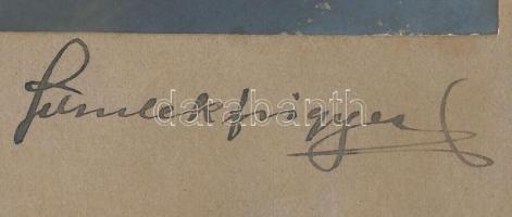 cca 1910 Schulek Frigyes (1841-1919) építész, műegyetemi tanár, az MTA tagja autográf aláírásával el...