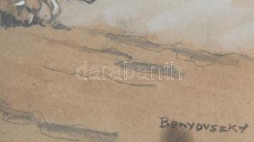 Benyovszky jelzéssel: Birkapásztor. Vegyes technika, papír., jelzett, Üvegezett keretben 27x40 cm