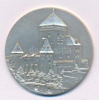 Ausztria 1963. "1000 Jahre Obervellach (Obervellach ezer éves)" kétoldalas, ezüstözött bro...