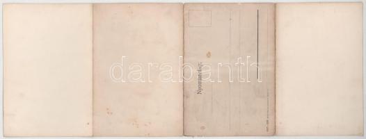 Borszék-fürdő, Baile Borsec; látkép. Divald Károly 947-1908. 4-részes kihajtható panorámalap / gener...