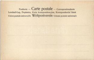 Erotic lady art postcard. 4080/XVIII