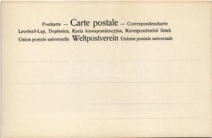 Erotic lady art postcard. 4080/XVII