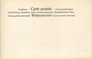 Erotic lady art postcard. 4080/XVI