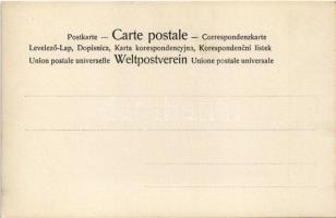 Erotic lady art postcard. 4080/XV