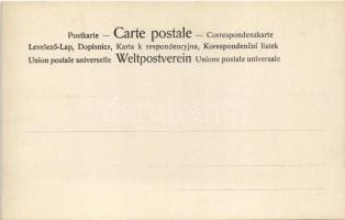 Erotic lady art postcard. 4080/XI