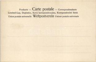 Erotic lady art postcard. 4080/X