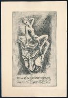 Menyhárt József (1901-1976): Dr. Lustig istván könyve, ex libris, papír, rézkarc, 13×8 cm