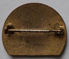 Ukrajna 1920. "Ungvári oktatásügy 1920" zománcozott bronz kitűző (19x23mm) T:AU